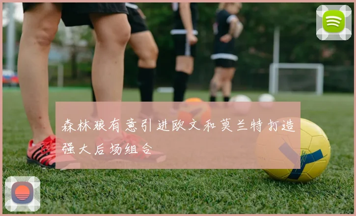 森林狼有意引进欧文和莫兰特打造强大后场组合