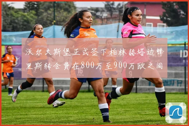 沃尔夫斯堡正式签下柏林赫塔边锋里斯转会费在800万至900万欧之间